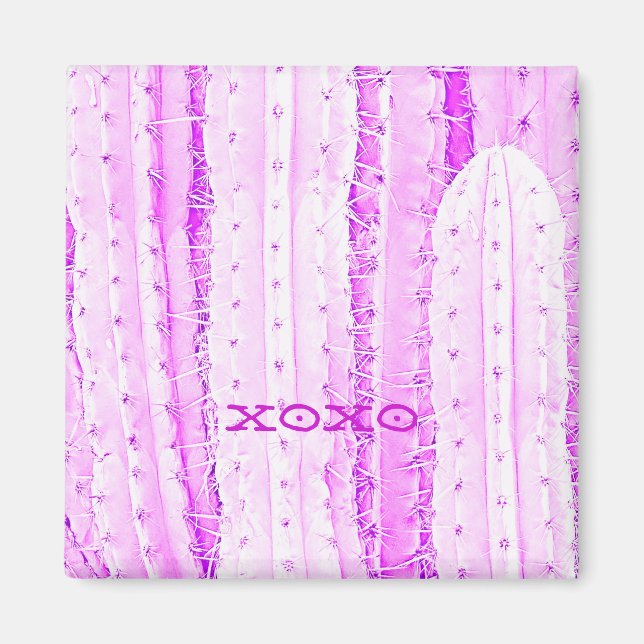 Íman Fotografia de Saguaro Cactus rosa (Frente)