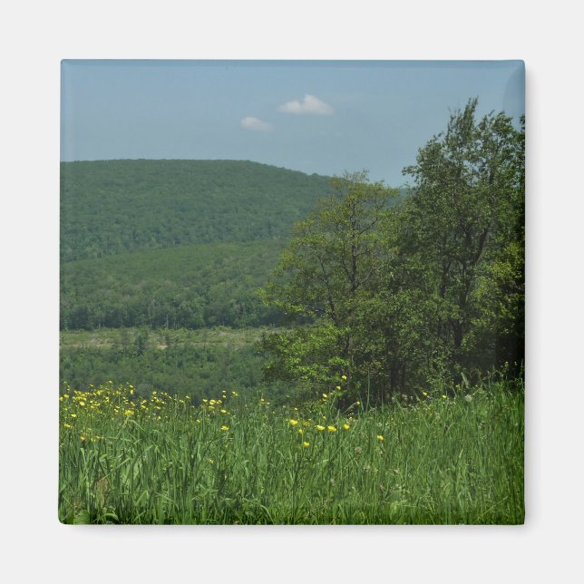 Íman Fotografia de Verão de Laurel Highlands Pensilvâni (Frente)