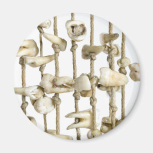 Íman Fotografia dentária engraçada Dentista de dentes e