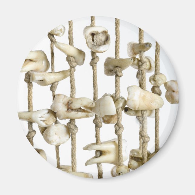 Íman Fotografia dentária engraçada Dentista de dentes e (Frente)