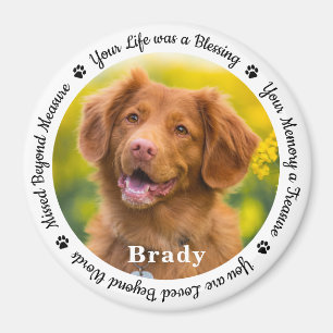 Íman Fotografia Memorial do Cachorro Personalizado