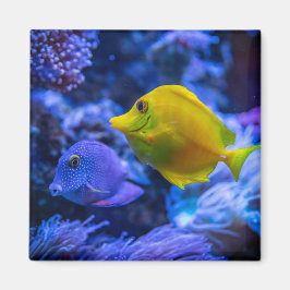 Íman Fotografia náutica marinha aquática