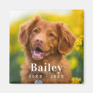 Íman Fotografia Personalizada de Pet Memorial do Cão