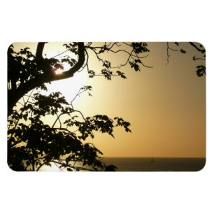 Íman Fotografia Tropical II através do Sol
