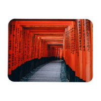 Fotografia Viagem do Japão