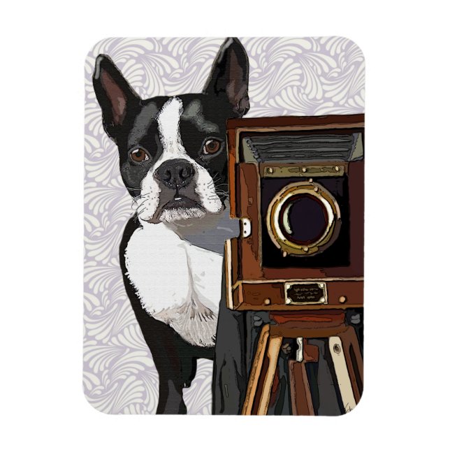 Íman Fotógrafo em Boston Terrier 2 (Vertical)