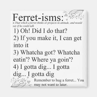 Íman Fotos de Ferret Sayings e Cotes