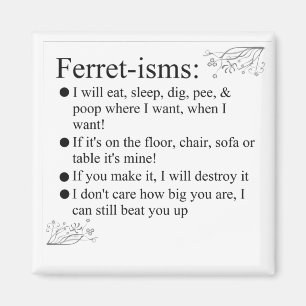 Íman Fotos de Ferret Sayings e Cotes