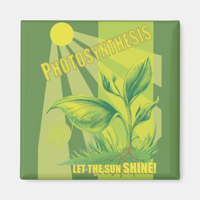 Íman Fotossíntese (Frente)