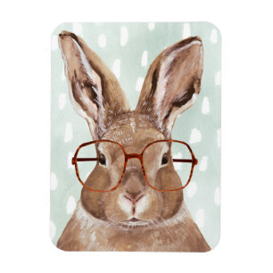 Íman Four-Eyed Forester Bunny Rabbit