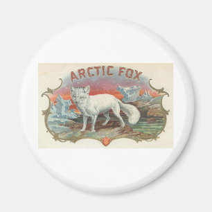 Íman Fox ártico do vintage