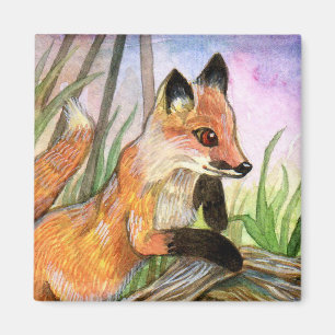 Íman Fox do bebê