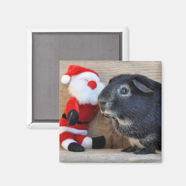 Íman Fox Guiné Pig e Papai Noel (Front/Back)