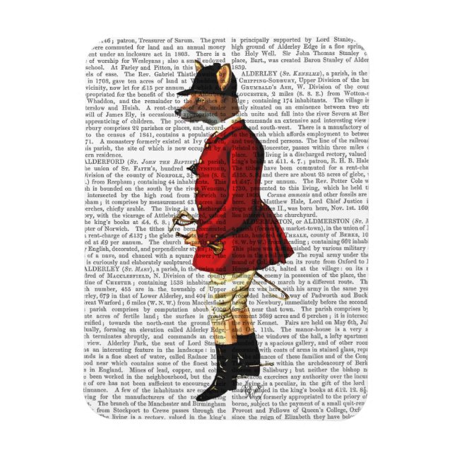 Íman Fox Hunter 1 2 (Vertical)