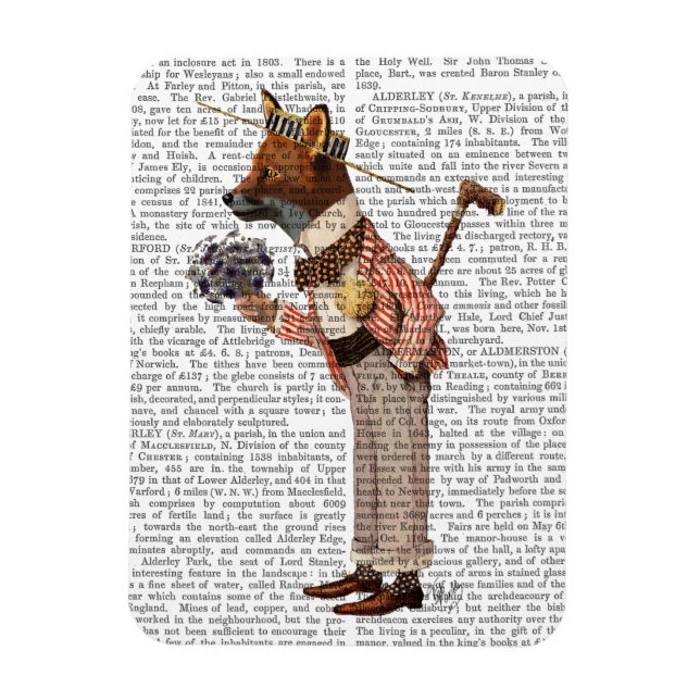 Íman Fox in Boater (Vertical)