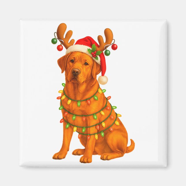 Íman Fox Red Lab Christmas Tree Light Pajama Labrador D (Frente)
