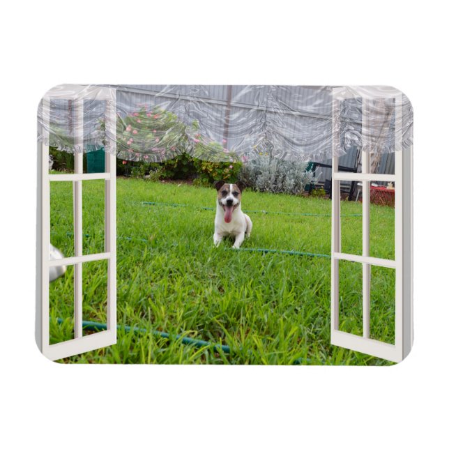Íman Fox Terrier vem jogar, ímã flexível (Horizontal)