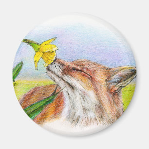 Íman Foxy
