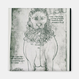 Íman Fr 19093 fol.24v Lion e Porcupine