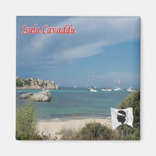 Íman FR - Córsega - Cavalo da Ilha