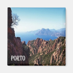 Íman FR - Córsega - Cidade do Porto na Córsega