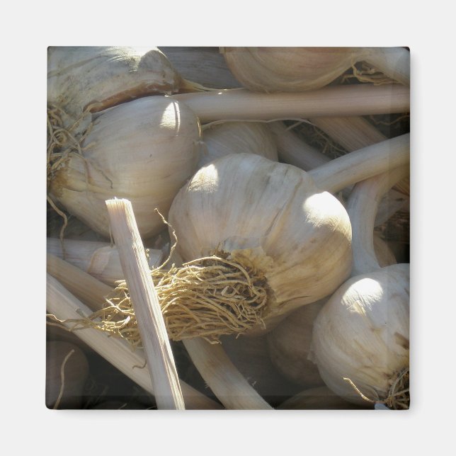 Íman Fragrantemente delicioso em forma bruta (Frente)