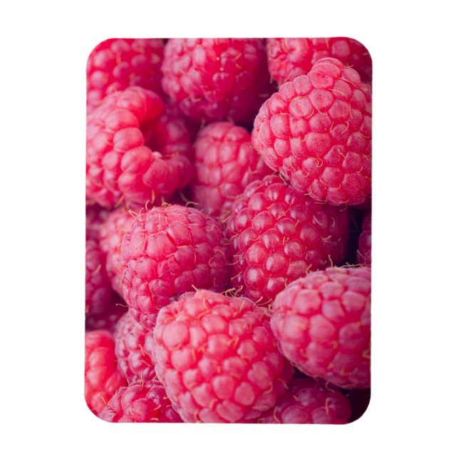 Íman Framboesas frescas (Vertical)