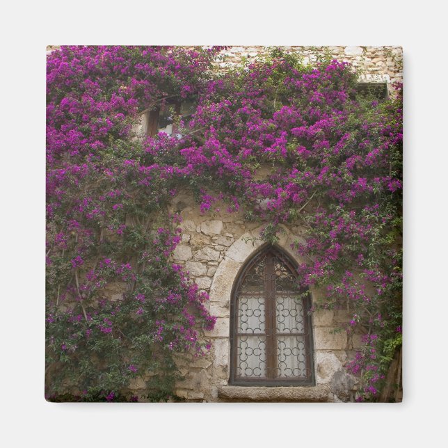 Íman França, Provença, Eze. Rosa brilhante (Frente)
