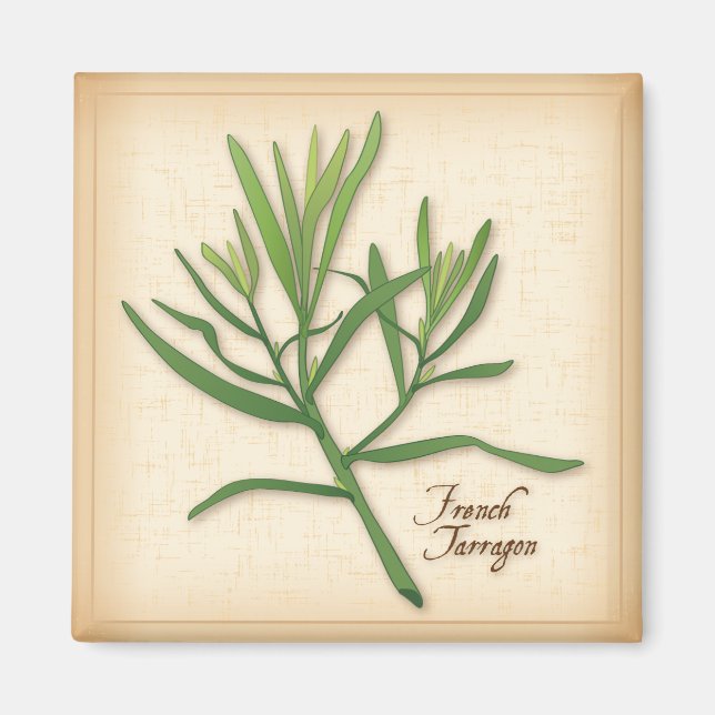 Íman Francês Tarragon Herb (Frente)