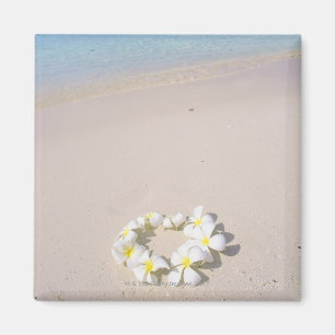 Íman Frangipani na praia
