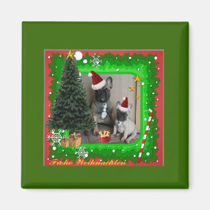 Íman Französische Bulldoggen Weihnachten