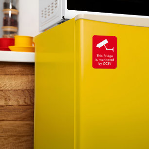 Íman Frasco CCTV de Vigilância de Câmera de Fundo Verme