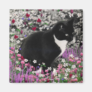 Íman Freckles nas flores II - gato do gatinho de Tux