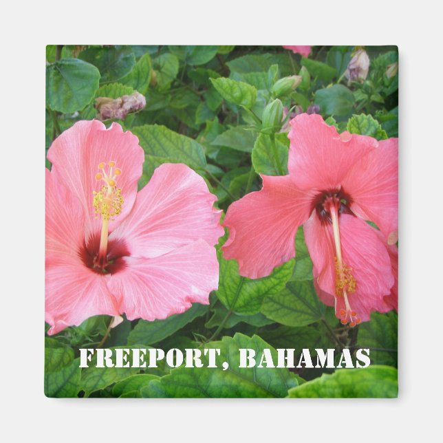 Íman Freeport, Bahamas Magnet (Frente)