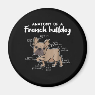 Íman French Gift Anatomia De Um Presente Francês Para