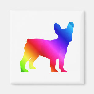 Íman Frenchie