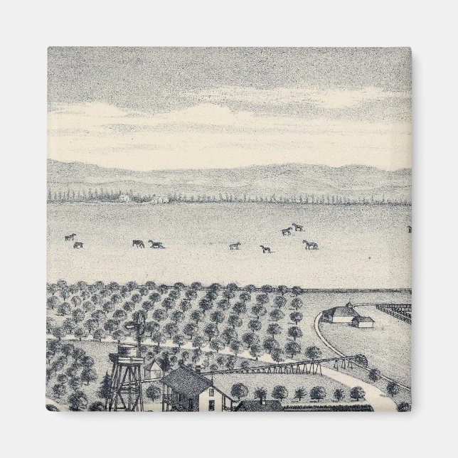 Íman Fresno County, Califórnia 20 (Frente)