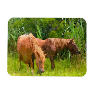Íman Frigorífico Magnet Assateague Cavalos Selvagens