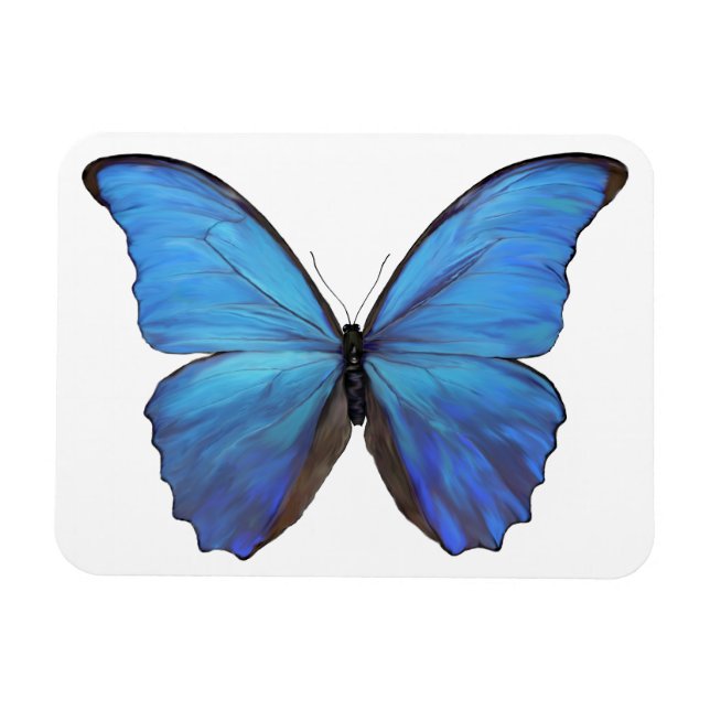 Íman Frigorífico Magnet Blue Butterfly (Horizontal)