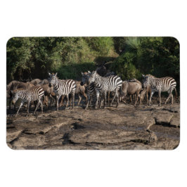 Íman Frigorífico Magnet O Modelo de Fotografia 4 x 6