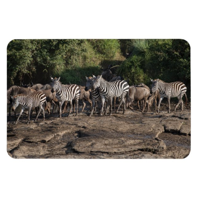 Íman Frigorífico Magnet O Modelo de Fotografia 4 x 6 (Horizontal)