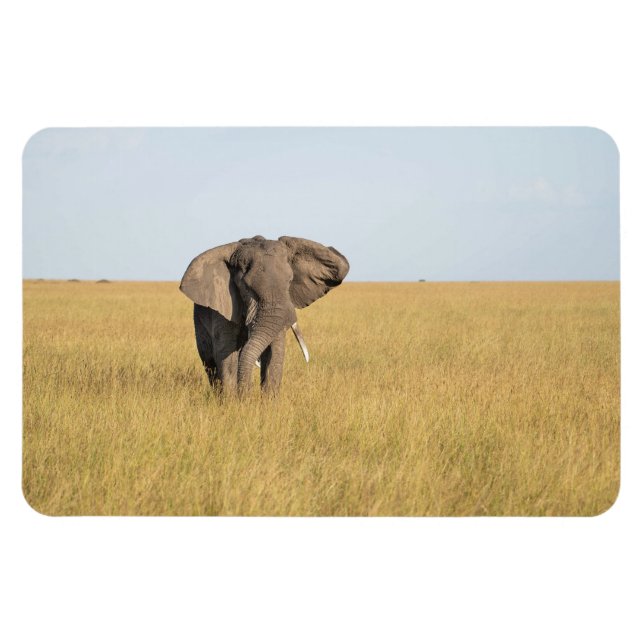 Íman Frigorífico Magnet O Modelo de Fotografia 4 x 6 (Horizontal)