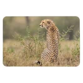 Íman Frigorífico Magnet O Modelo de Fotografia 4 x 6