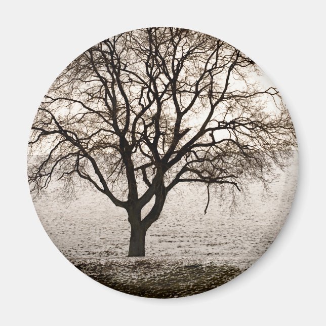 Íman frio e adorável (Frente)