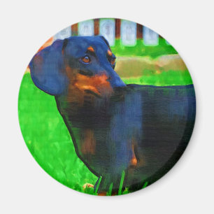 Íman Fritz