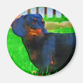 Íman Fritz