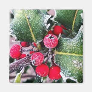 Íman Frosty Holly