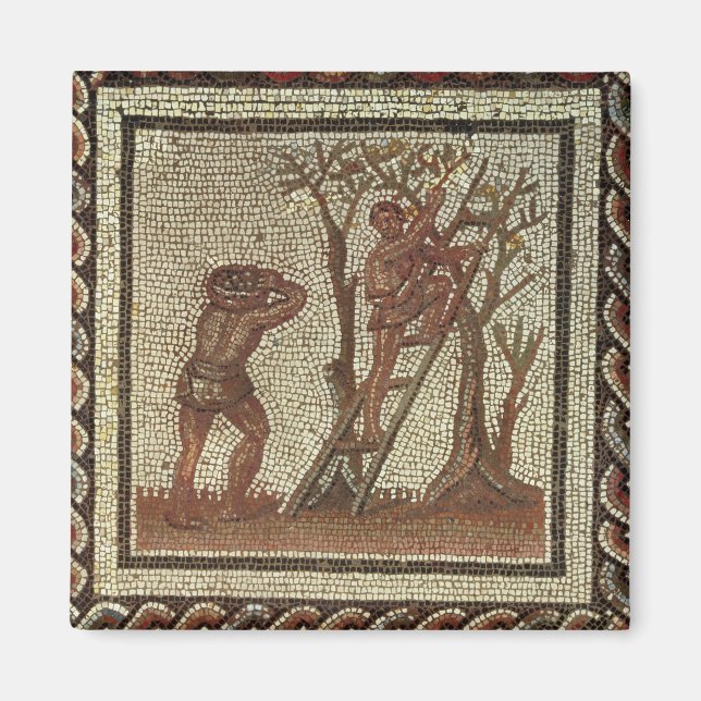 Íman Fruta de colheita, mosaico romano (Frente)