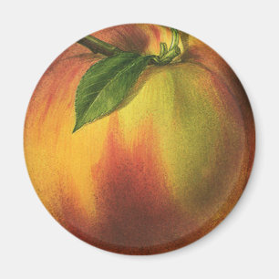 Íman Fruta de Comida, Pêssego Orgânico Elevado com Fo