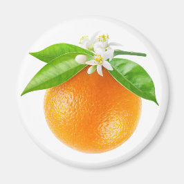 Íman Fruta de laranja e flores